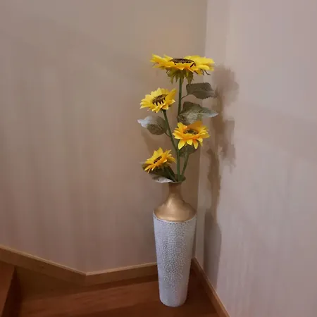 Rose Sun House